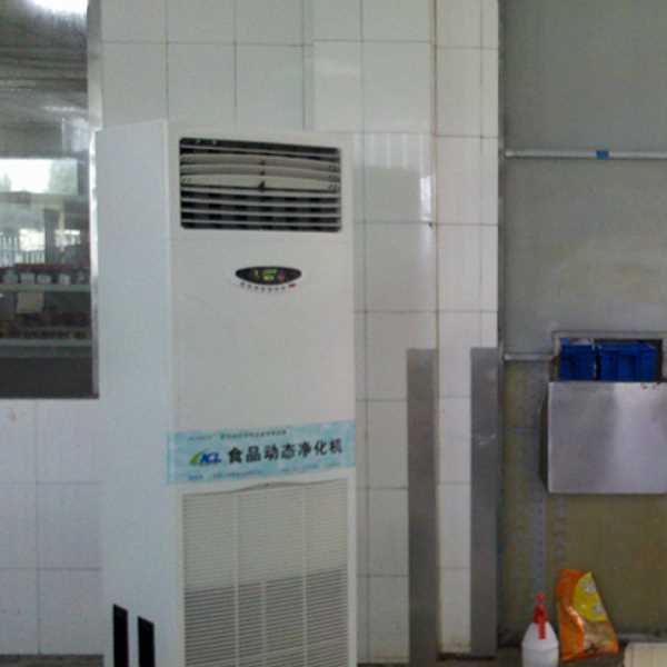 丽水食品智能空气杀菌器